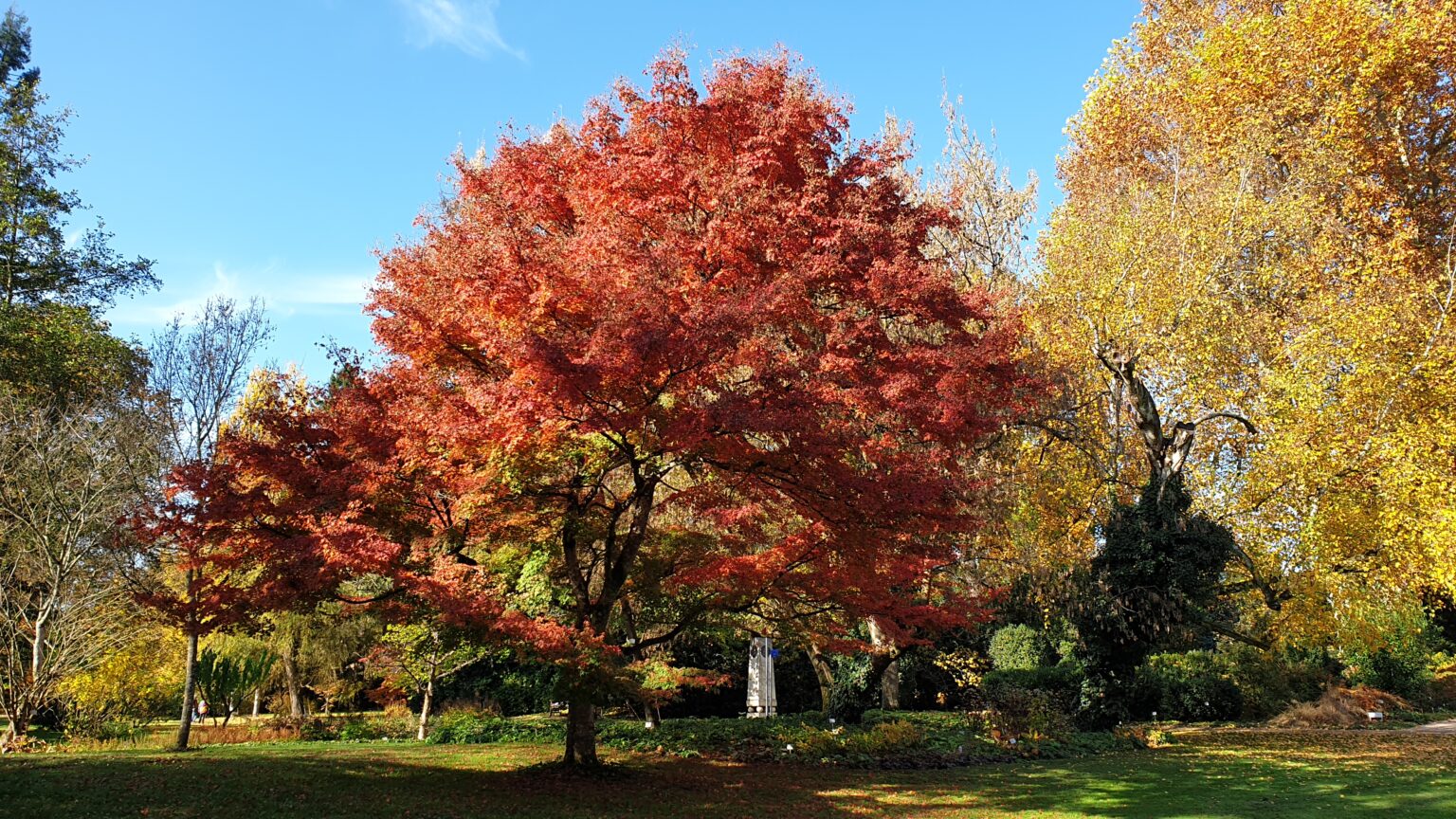 Botanischer garten hohenheim spiritofwandern.de